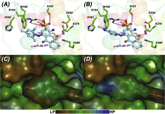 Fig. 7