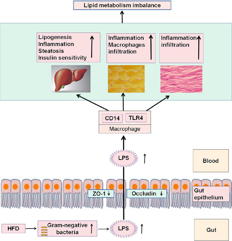 Figure 3