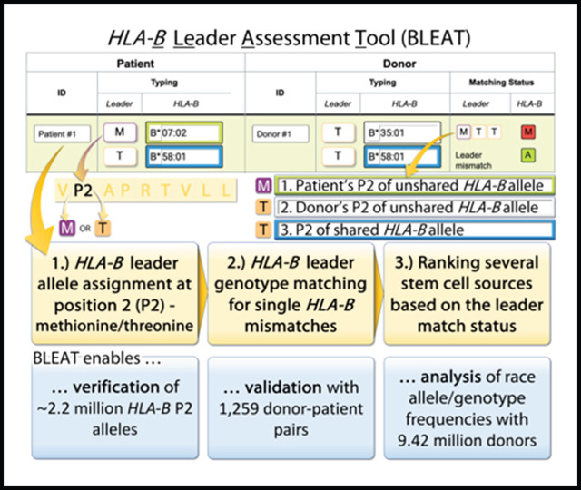 graphic file with name advancesADV2021004561absf1.jpg