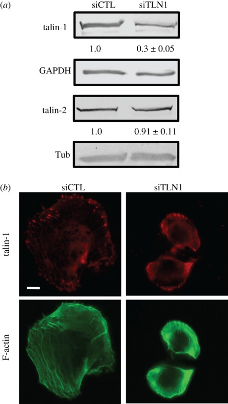 Figure 1.