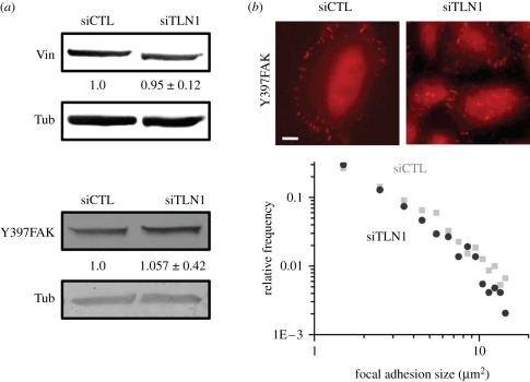 Figure 3.