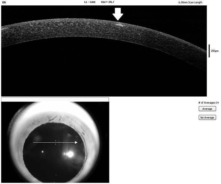 Figure 3