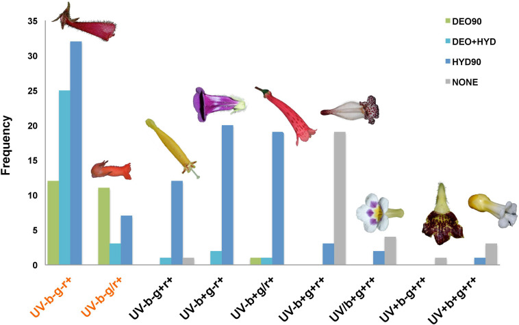FIGURE 4