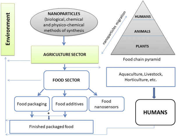 FIGURE 7