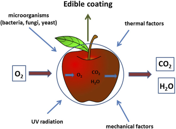 FIGURE 4