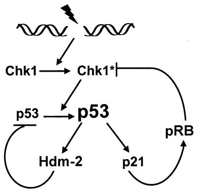 FIG. 7