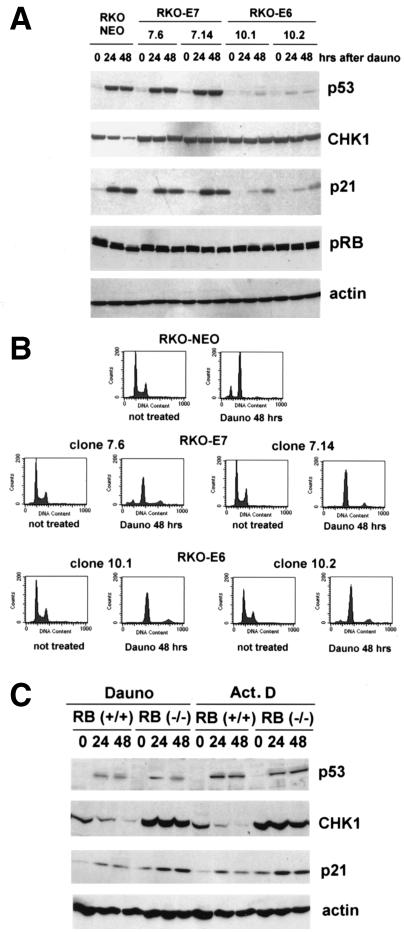 FIG. 6