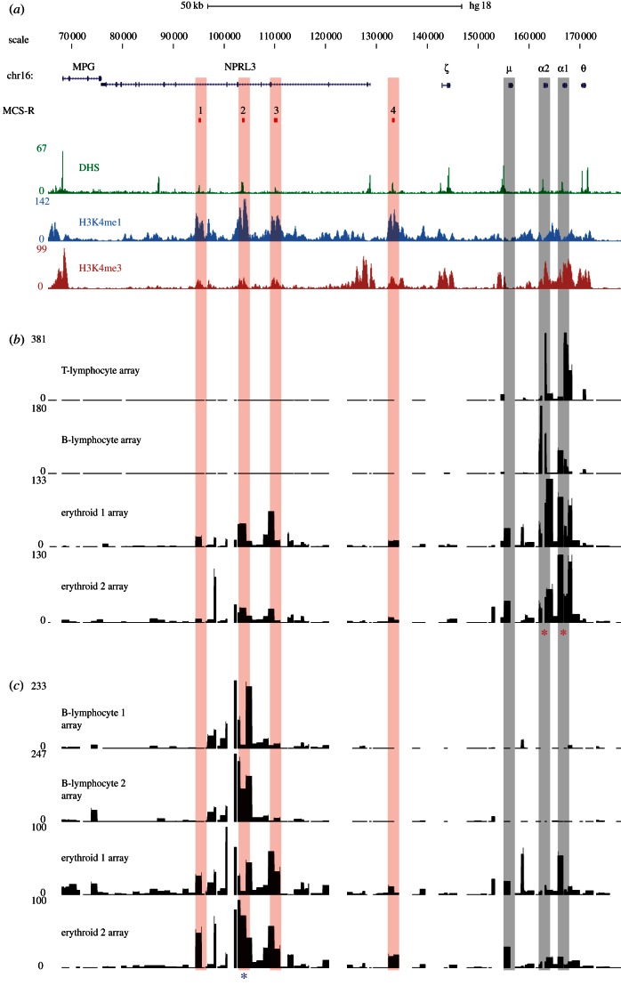 Figure 2.