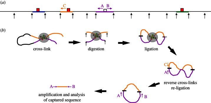 Figure 1.