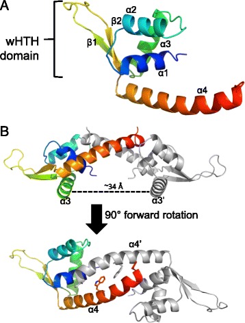 Fig. 2