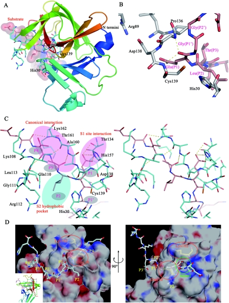 FIG. 4.