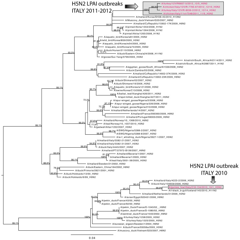 Figure 6