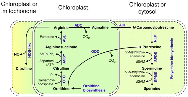 FIGURE 3