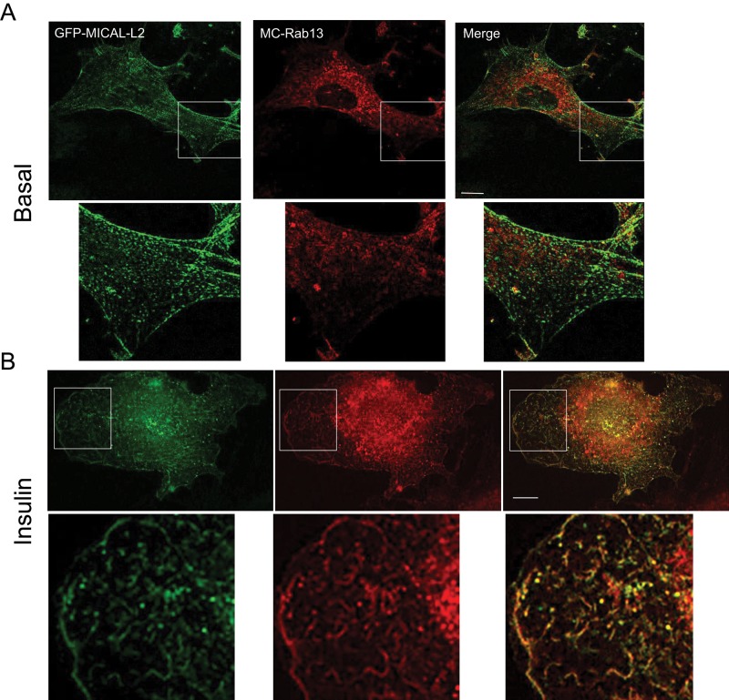 FIGURE 2: