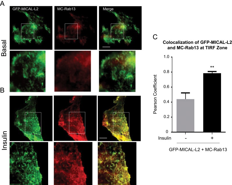 FIGURE 3: