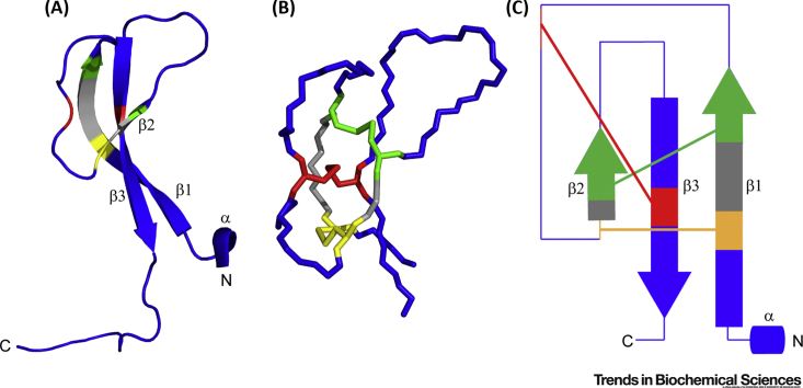 Figure 5