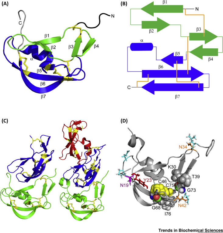 Figure 2