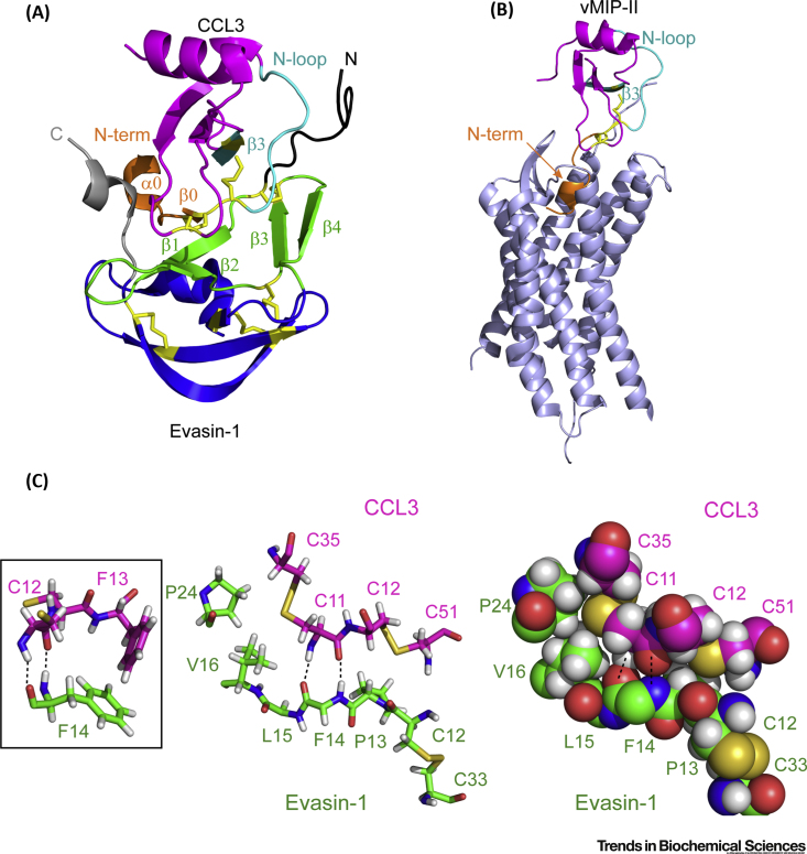 Figure 3