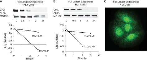 FIGURE 1.