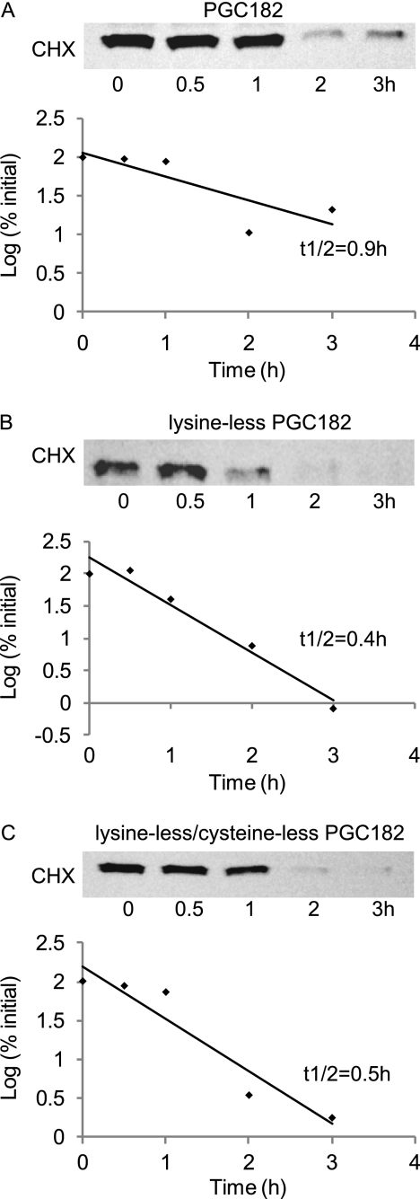 FIGURE 7.