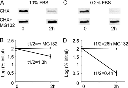 FIGURE 10.