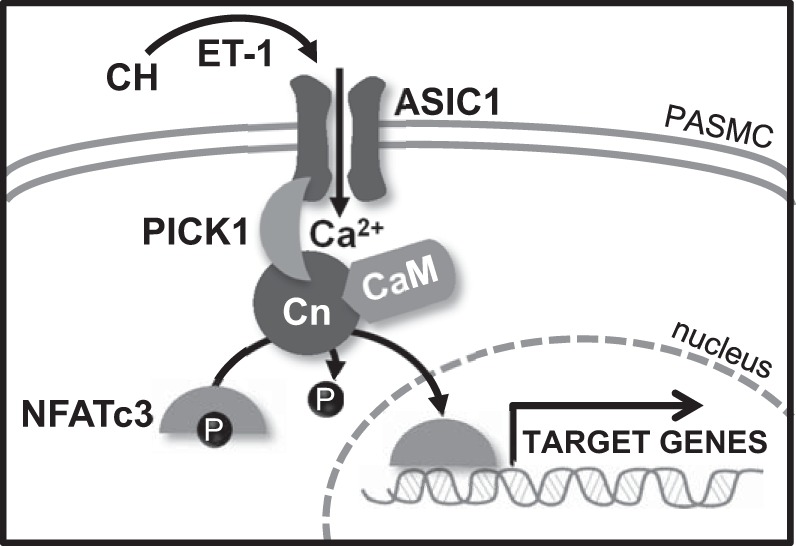 Fig. 10.