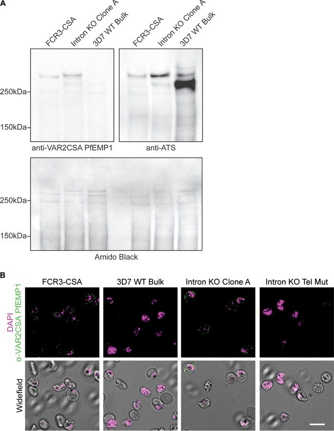 FIG 3 