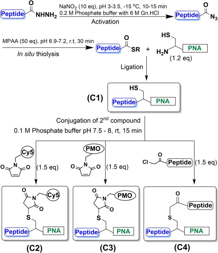 FIGURE 3