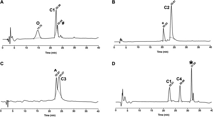 FIGURE 1