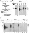 FIG. 6