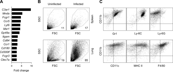 FIG. 4.