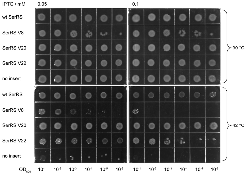 Fig. 5.