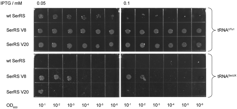 Fig. 4.