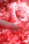 Fig. 9