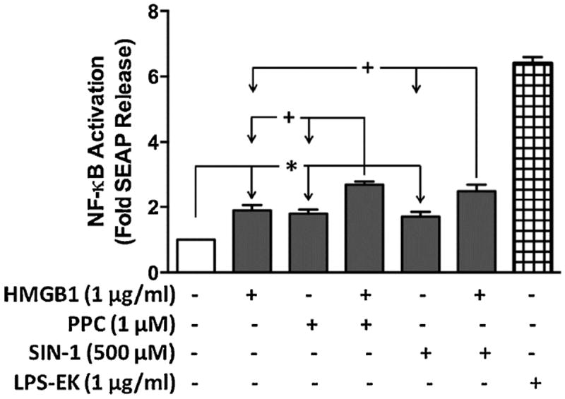 Fig. 9