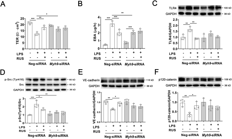 Figure 6