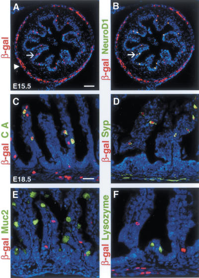 Figure 5.