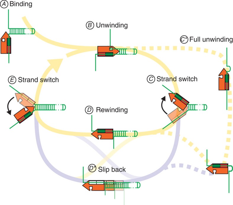 Figure 6