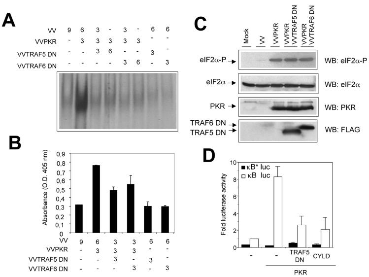 FIG. 8.