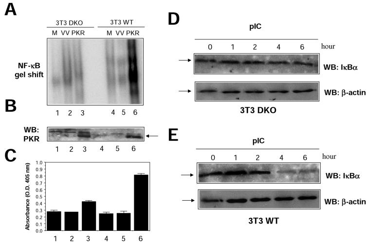 FIG. 9.