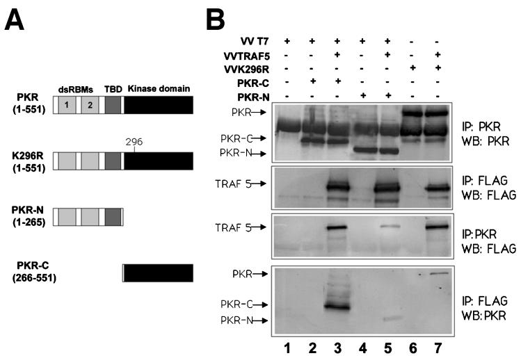 FIG. 6.