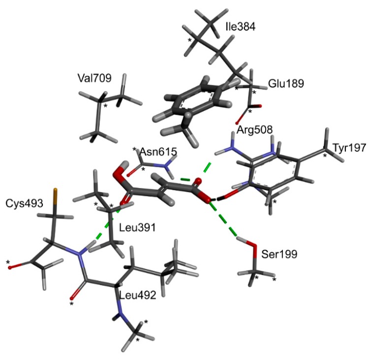 Figure 11