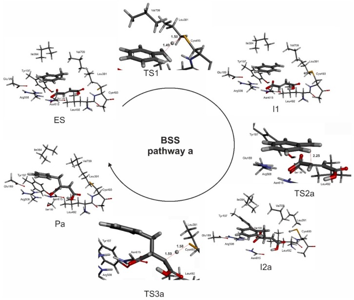 Figure 10