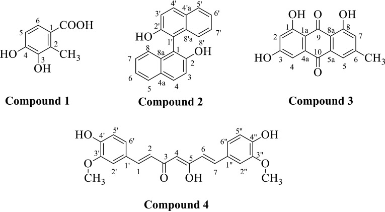 Fig. 1