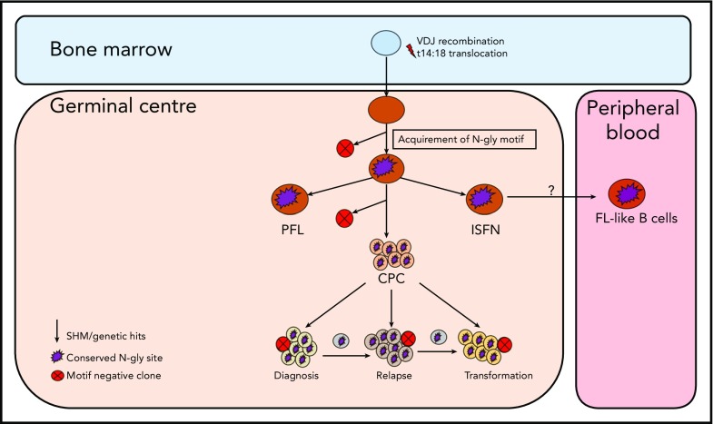 Figure 7.