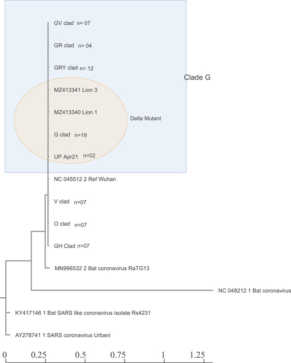 FIGURE 2