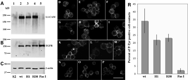 Figure 3.