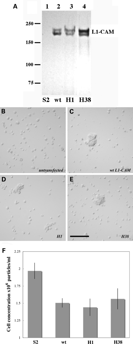 Figure 2.