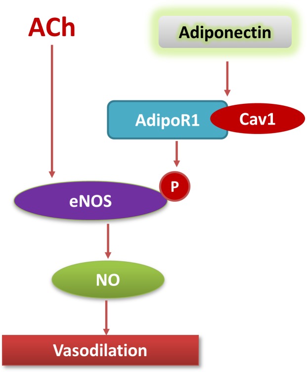 Fig 6