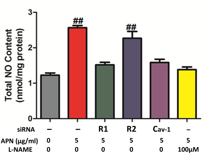 Fig 5